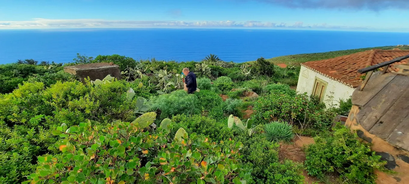 Près de Fuencaliente sur l'île de la Palma aux Canaries. Photo  © Daniel Desjardins 