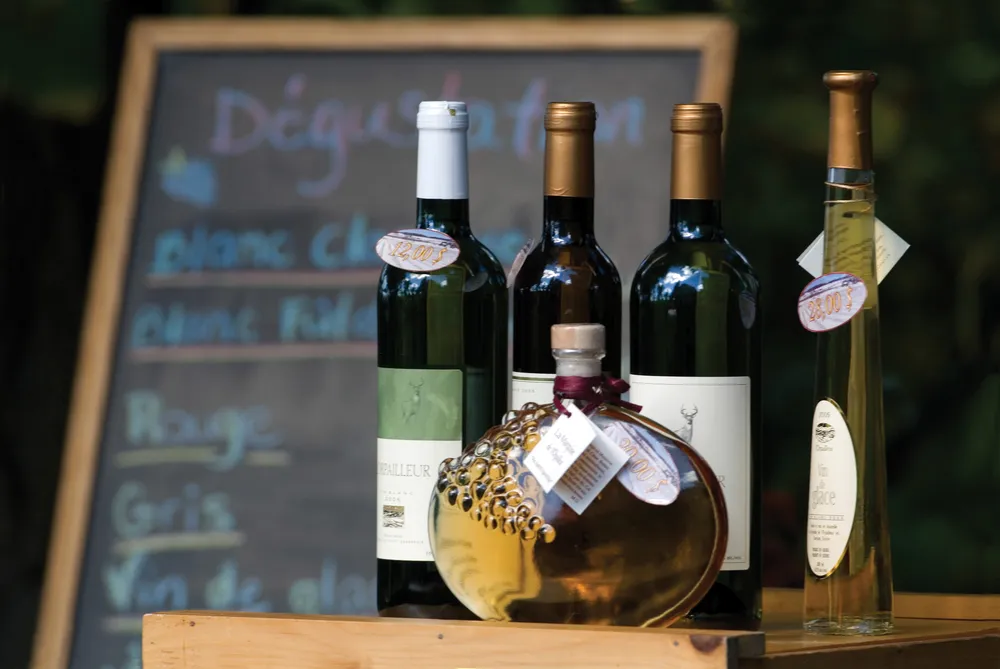 Le Vignoble de l’Orpailleur  
© Michel Julien  
