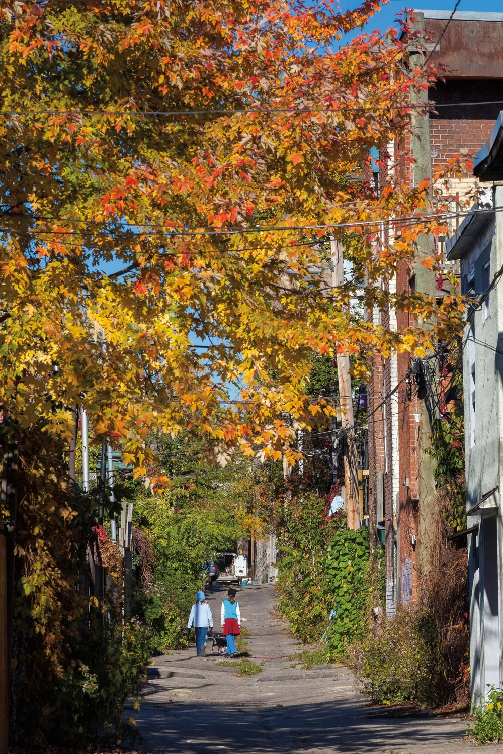 Une ruelle typique de Montréal.   © Philippe Renault/hemis.fr  