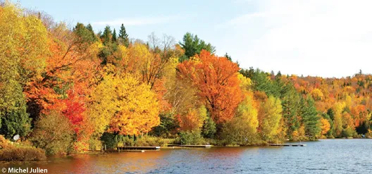 ©Michel Julien