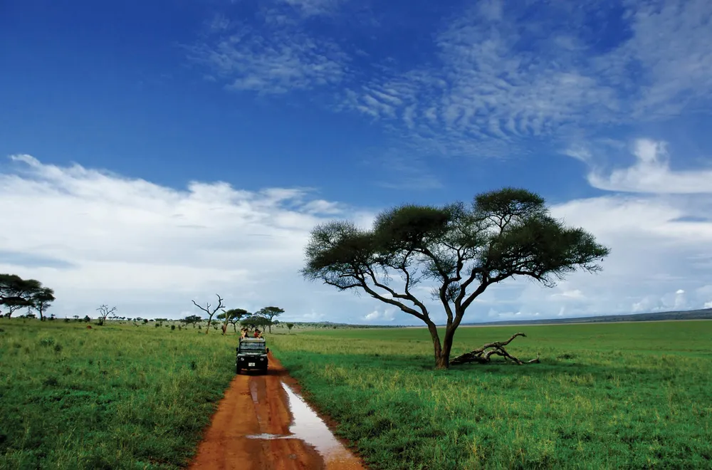 Le parc national de Tarangire | © Dreamstime.com/Jessica Bethke