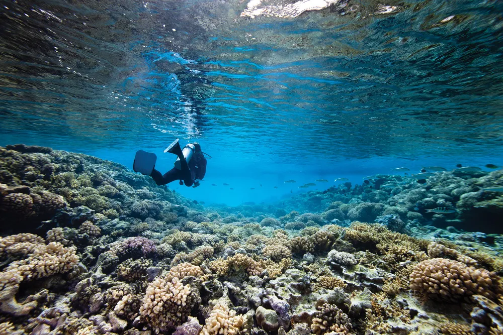 © Dreamstime.com/Vladoskan