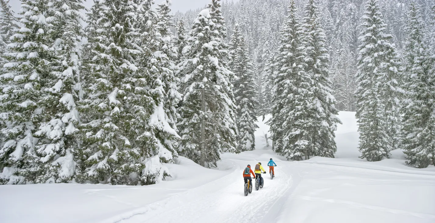 Fatbike dans la forêt sous la neige  ©  iStock / simonkr