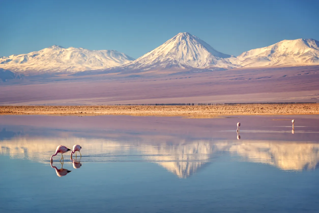 Le volcan Licancabur à la frontière du Chili et de la Bolivie, fait partie de la Ceinture de Feu du Pacifique. © iStock / Delpixart