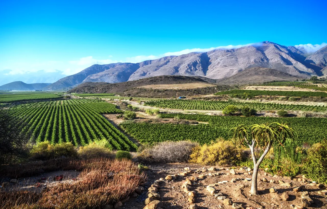 La merveilleuse vallée de Constantia et ses vignobles - photo © iStock-javarman3