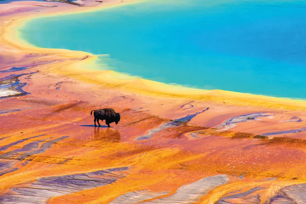 Yellowstone National Park.
© iStockphoto / Megan Brady