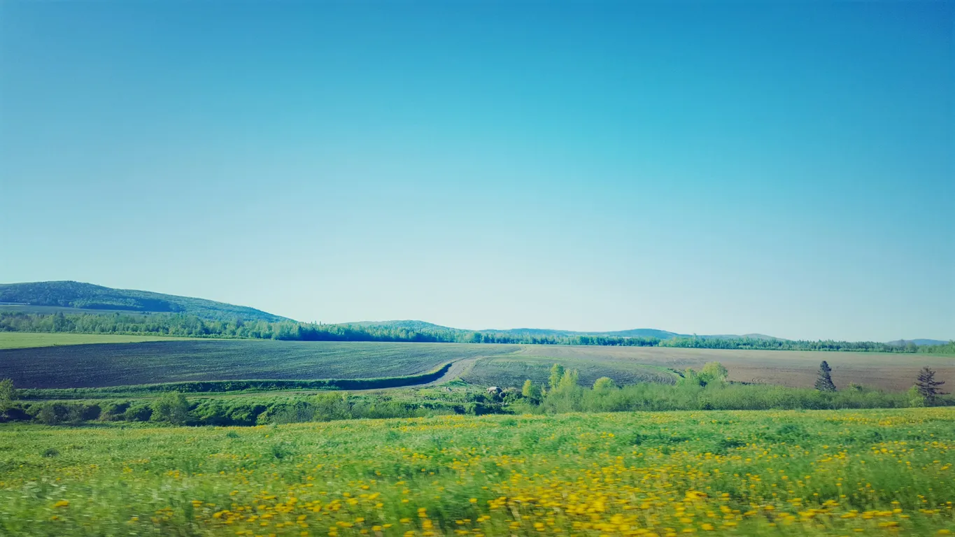 Petite montagne près de Rimouski  © iStock / Pierre-Olivier Valiquette