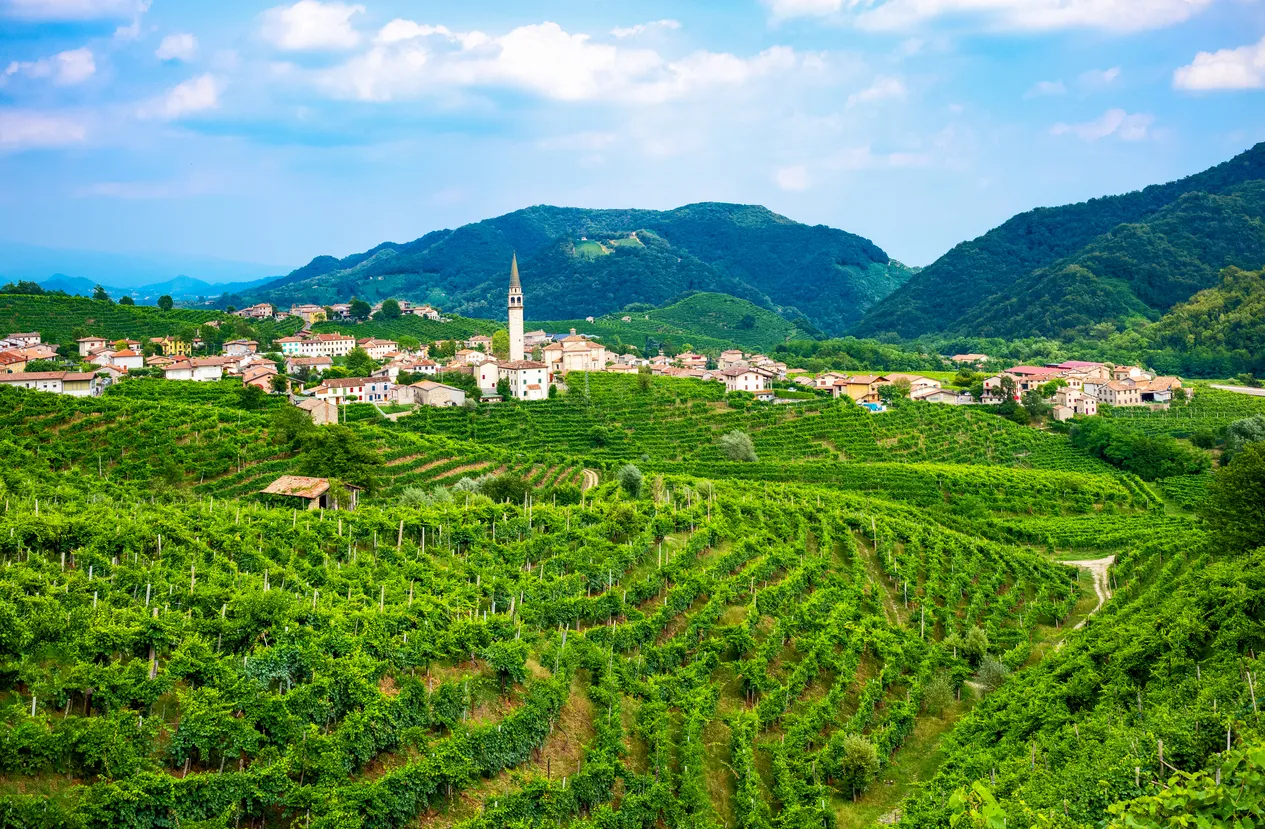 Vignoble du Prosecco et Valdobbiadene en arrière-plan
© iStock/Gim42