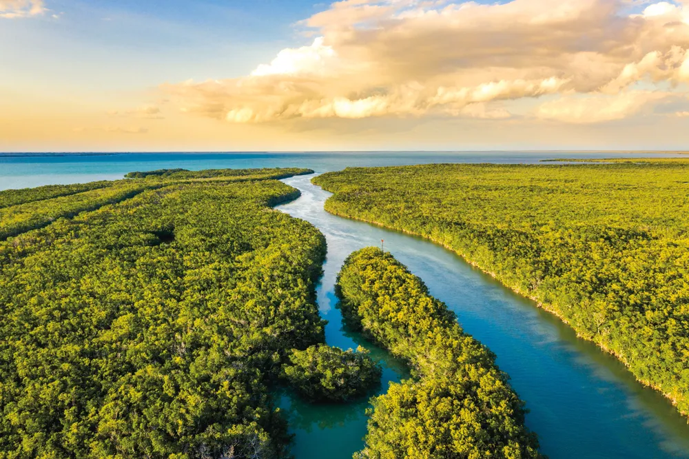 Everglades National Park.
Crédit:	© iStockphoto.com/SimonSkafar