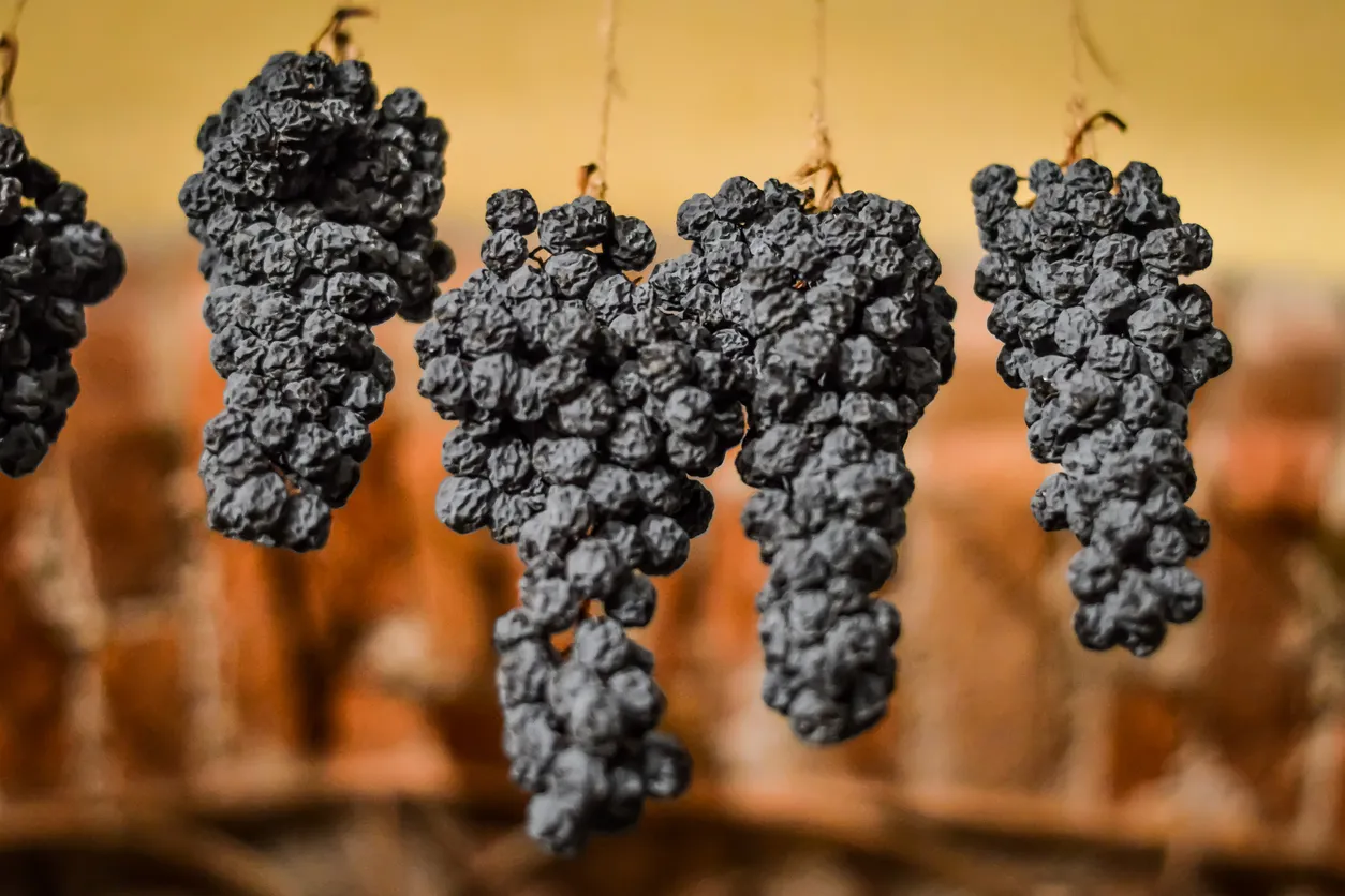Raisins séchés pour la fabrication de l'Amarone - photo © iStock-sebastianosecondi