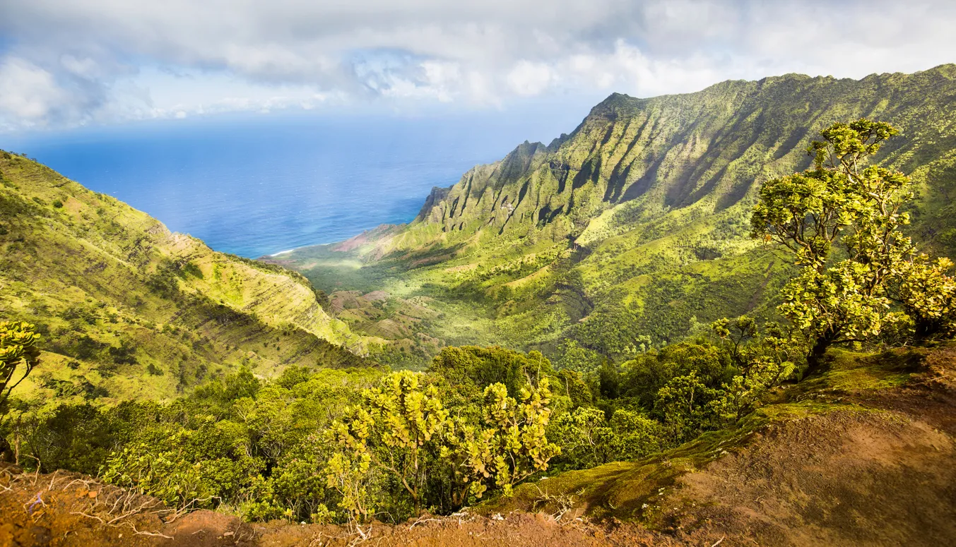L'impressionnant Waimea Canyon National State Park sur l'Île de Kaua'i - photo © iStock-YinYang