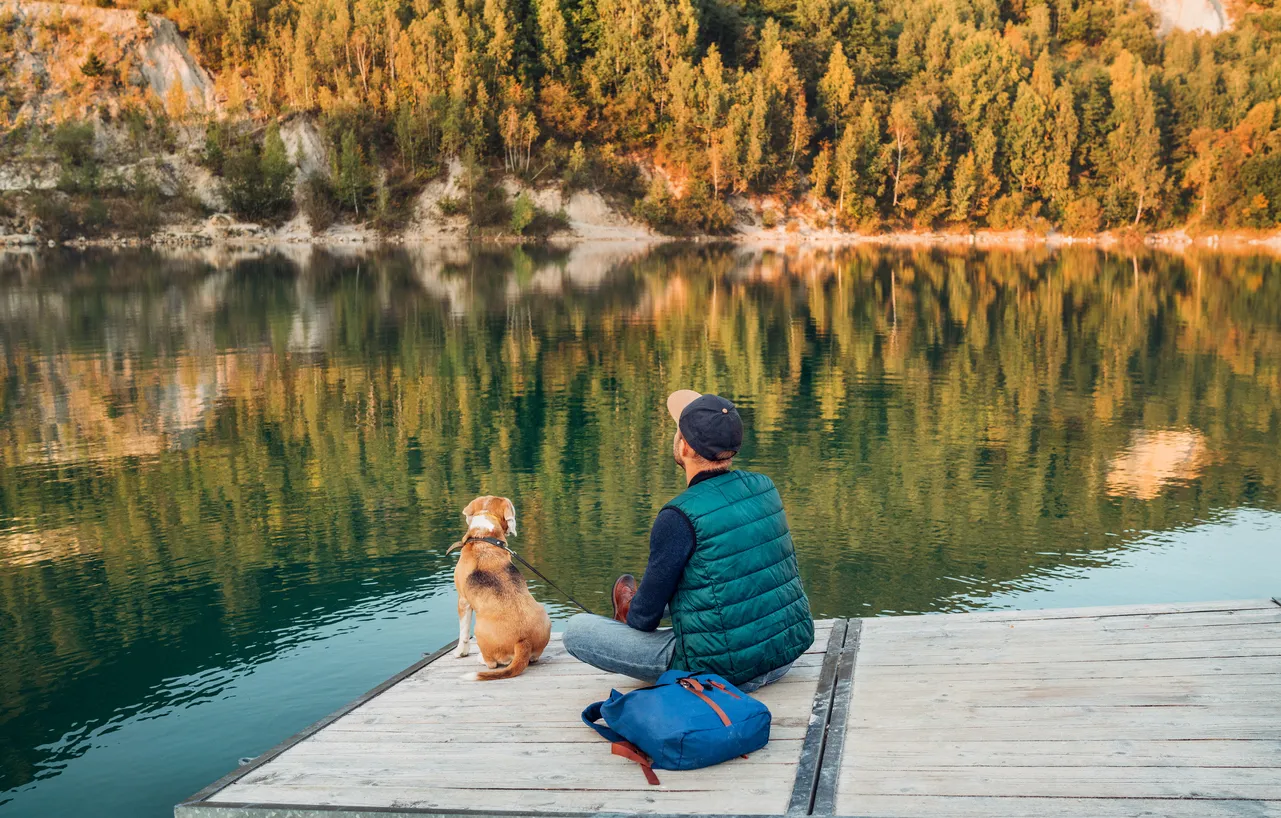 Promenade d'automne avec son chien
© iStock / Solovyova