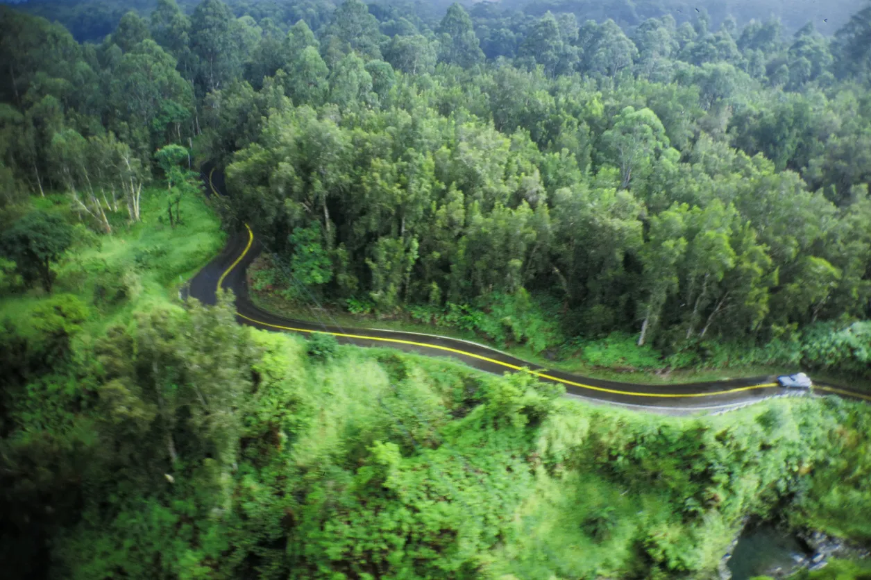 La fameuse route de Hana sur l'île de Maui à Hawaii | © iStock / Charley Carter