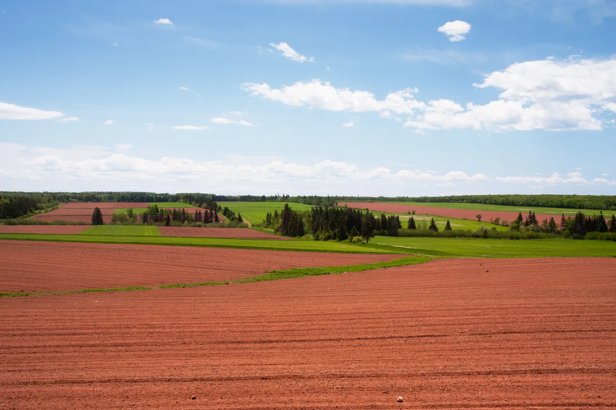 La terre rouge de l’Île-du-Prince-Édouard  © iStock / jhayes44