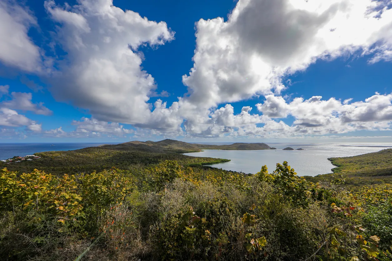 La Péninsule de Caravelle, Martinique | © iStock / thierry64