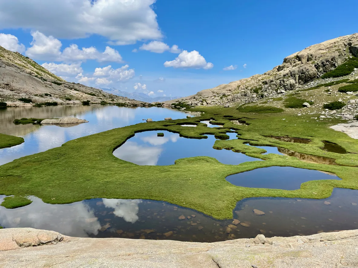 Pozzines au lac Orient en contrebas du Monte Rotondo, GR20, Corse, France. © iStock / Maleo 