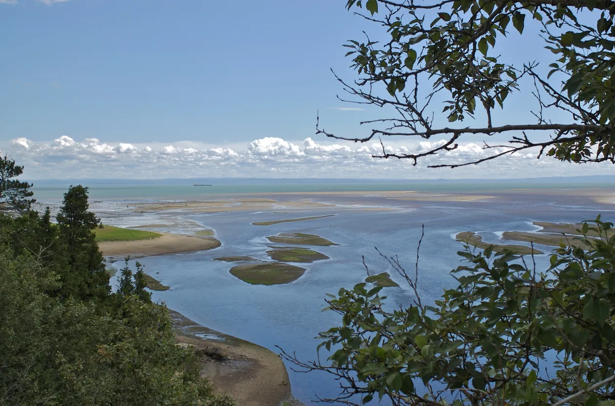 La rivière Malbaie se jette dans le Saint-Laurent © iStock / FotoFlow