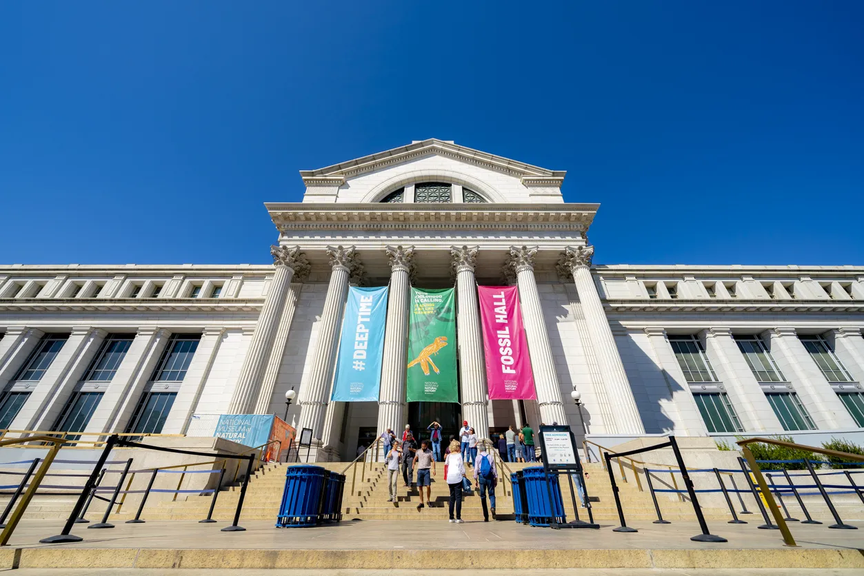 Le National Museum of Natural History, un musée d’histoire naturelle administré par la Smithsonian Institution, situé sur le National Mall, Washington D. C. © iStock / Itza Villavicencio Urbieta