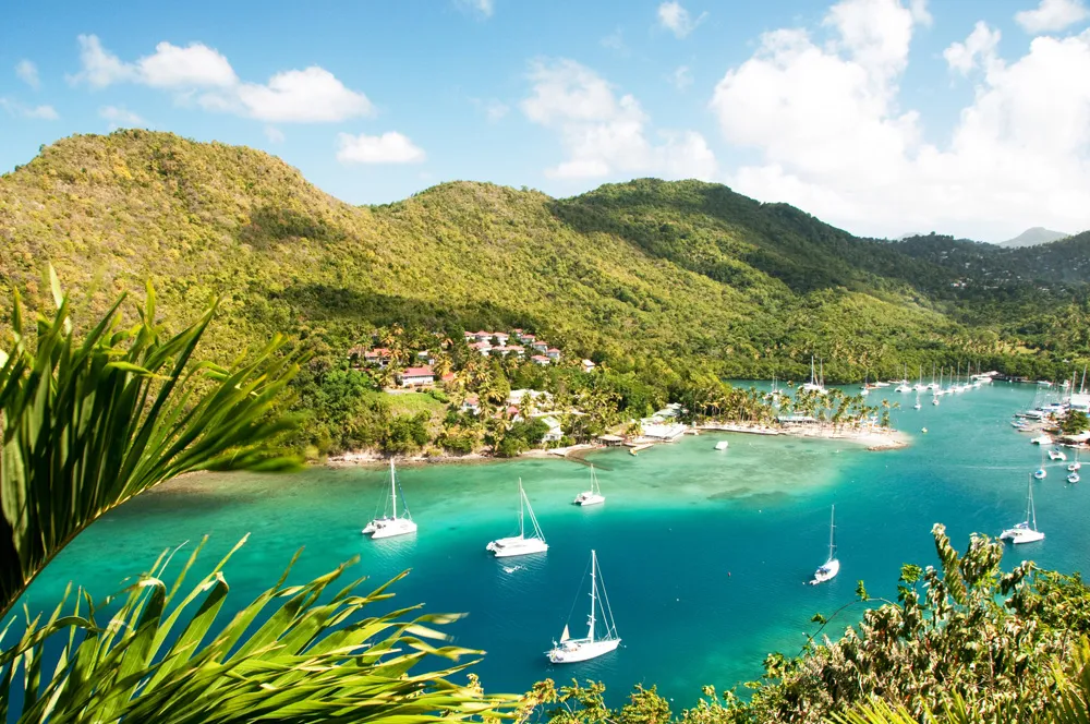 Marigot Bay, Sainte-Lucie | © Wildroze