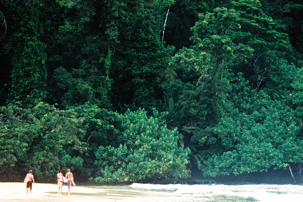 Isla Bastimentos province de Bocas del Toro, Panama. | © iStock / tropicalpixsingapore