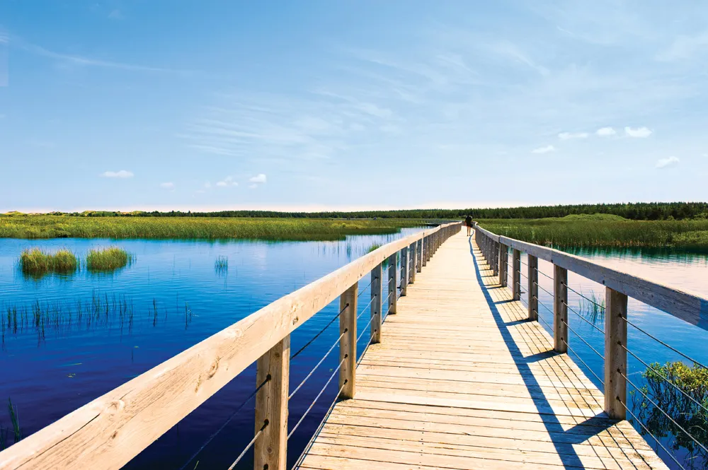 Parc national de l’Île-du-Prince-Édouard. | © iStockphoto.com/brytta