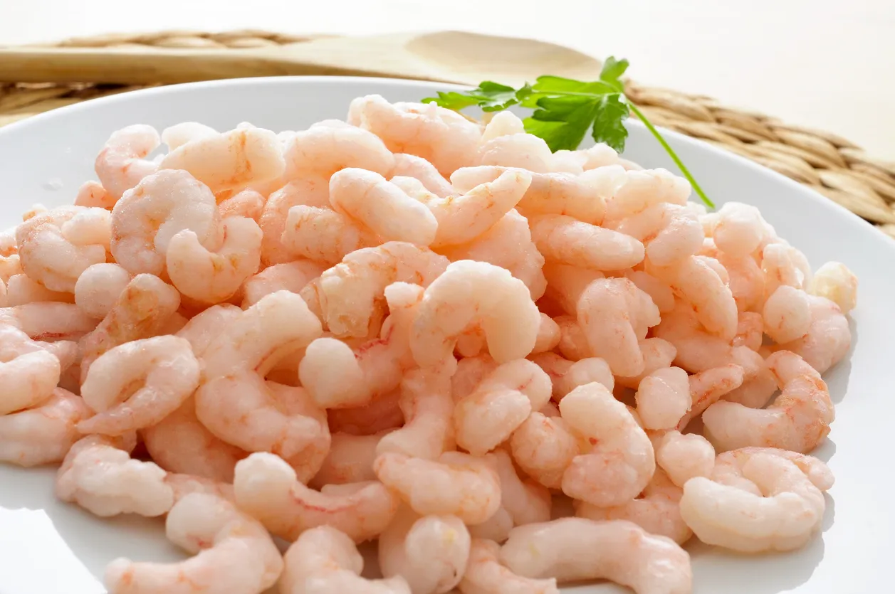 Plat de crevettes nordiques  © iStock / nito100