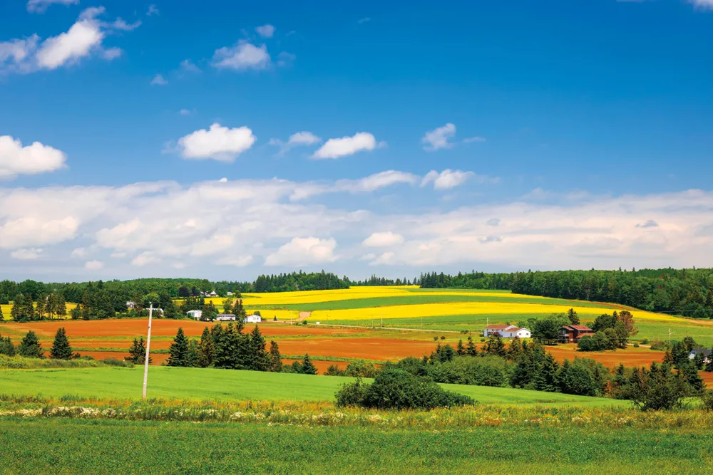 L’Île-du-Prince-Édouard | ©iStockphoto.com/Elenathewise 