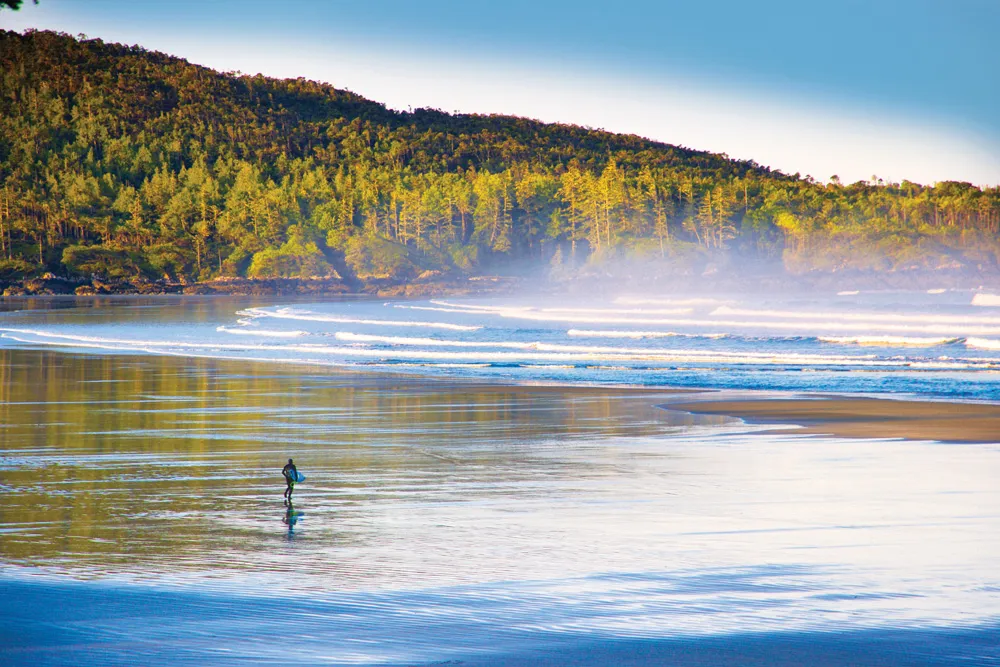 Réserve du parc national Pacific Rim | © iStockphoto.com/katyenka 