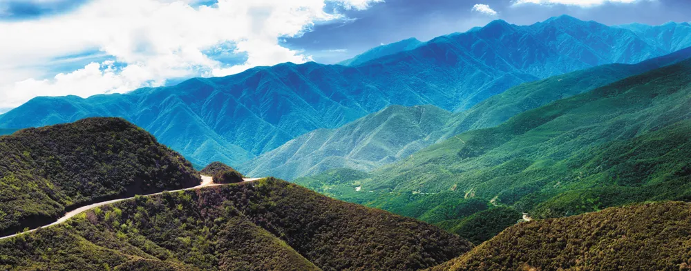 Los Padres National Forest©iStockphoto/NicolasMcComber