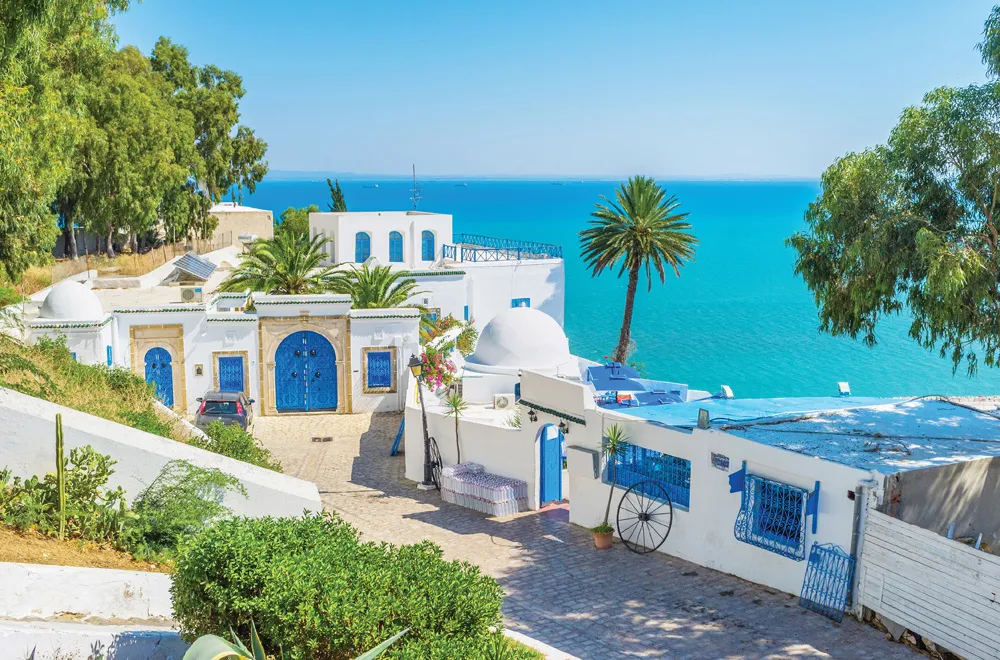 Sidi Bou Saïd | © iStockphoto.com/efesenko
