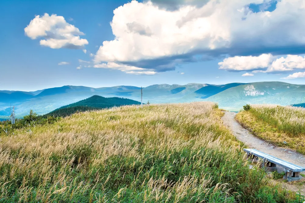 Parc national de la Gaspésie. | © iStockphoto.com/sfontana