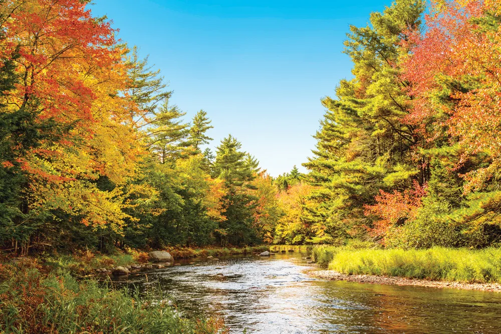 Parc national et lieu historique national Kejimkujik.  | © iStockphoto.com/PetrovVadim