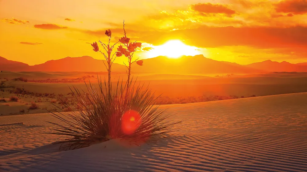 Coucher du soleil, White Sands National Park.
© iStockphoto / CrackerClips