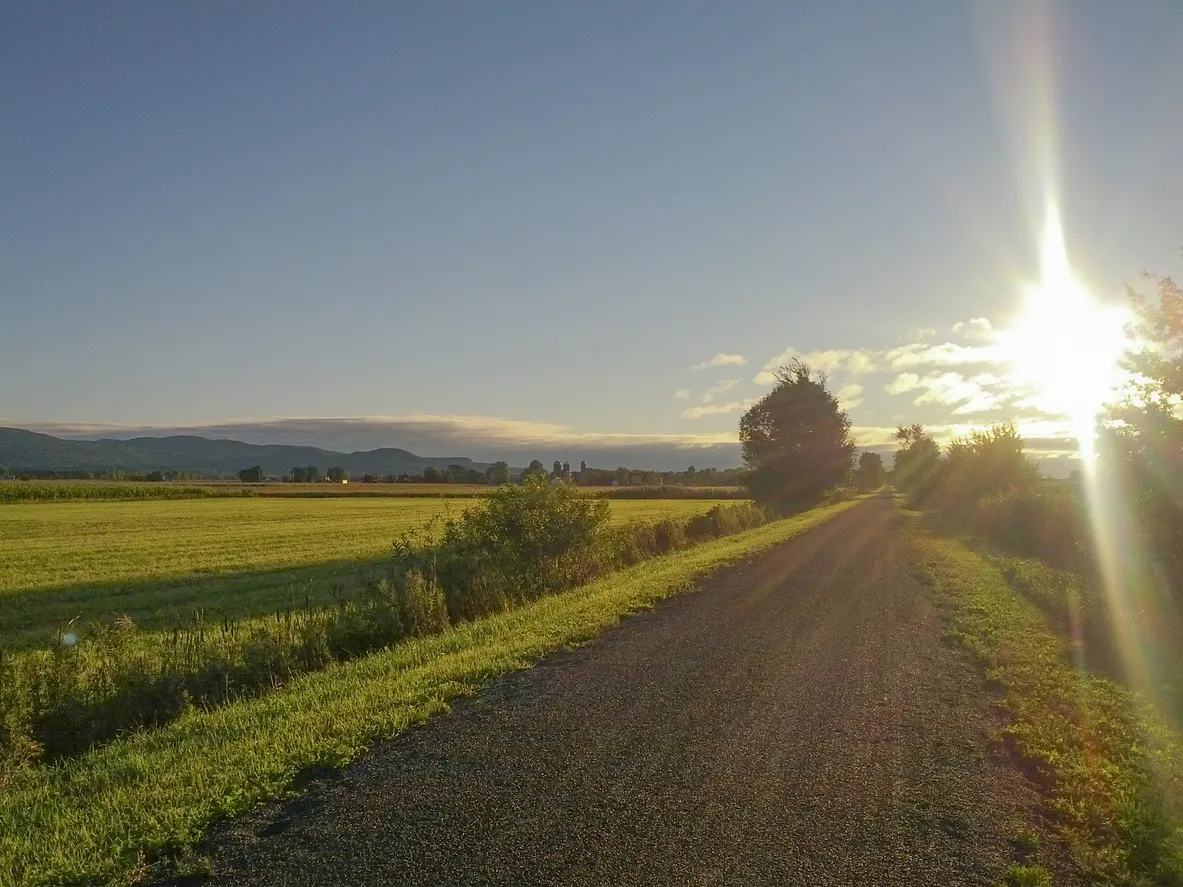 Paysage matinal en Montérégie © iStock / Robitaille