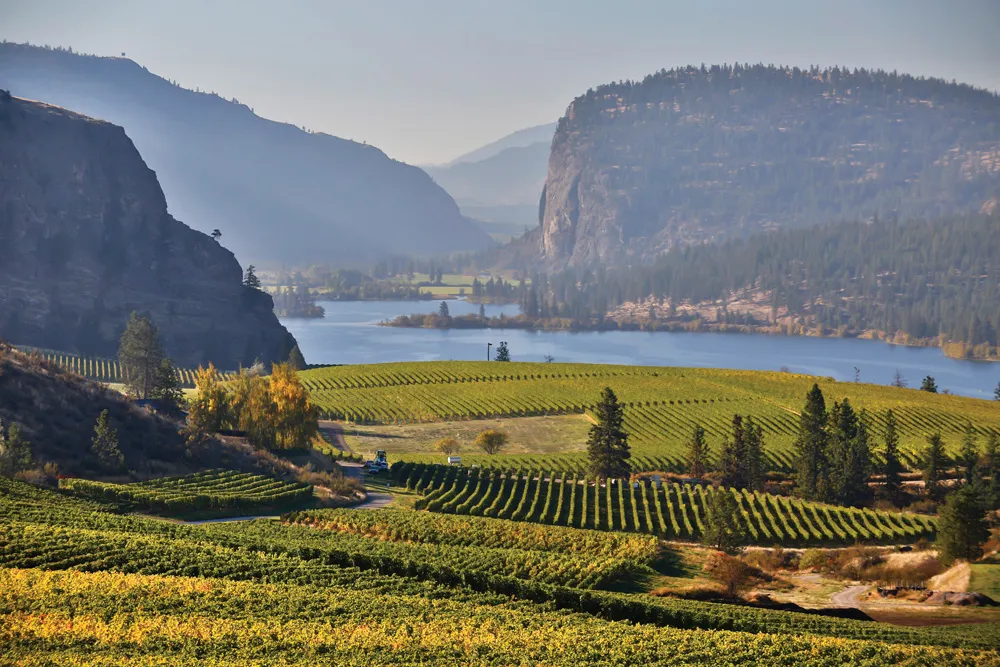 Vallée de l’Okanagan | © iStockphoto.com/laughingmango