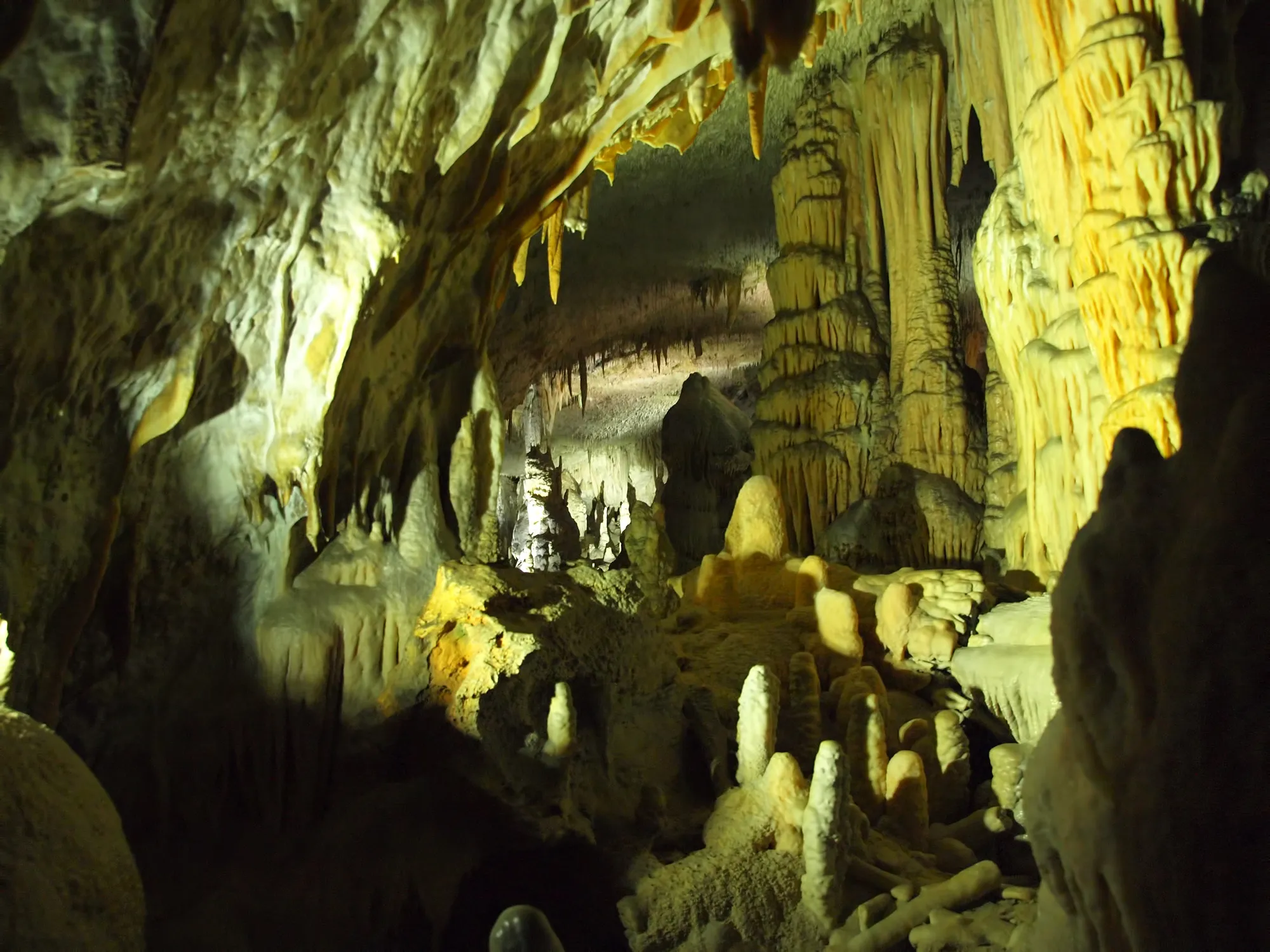 La grotte de Postojna
© iStock/GoranStimac