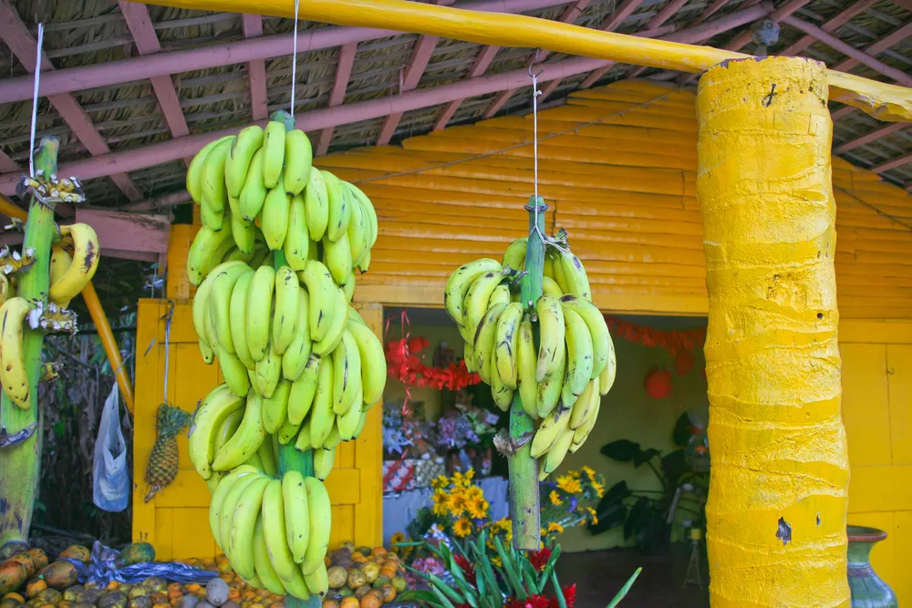 Marché de Cabarete, République dominicaine | © DonFord1
