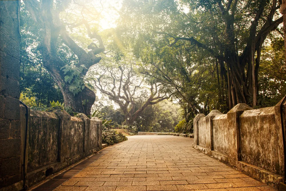 Fort Canning Park, Singapour | © GeorgeDolgikh