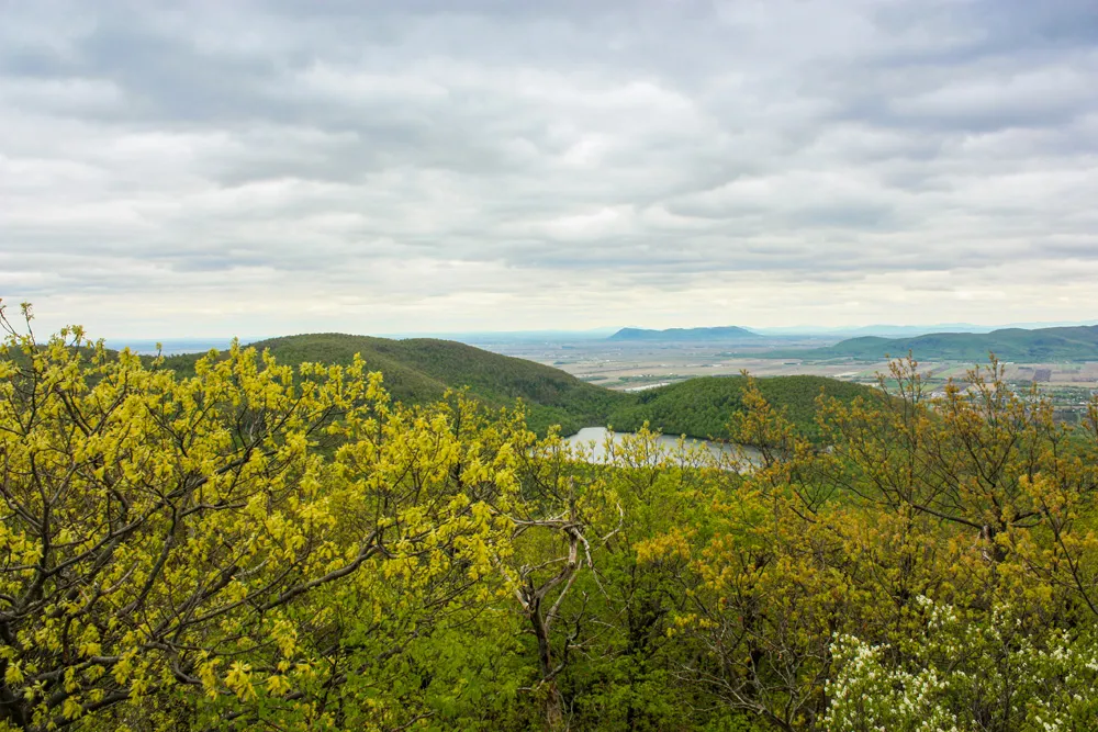 Vue depuis le Mont Saint-Hilaire © iStockphoto.com/sebastien lemyre