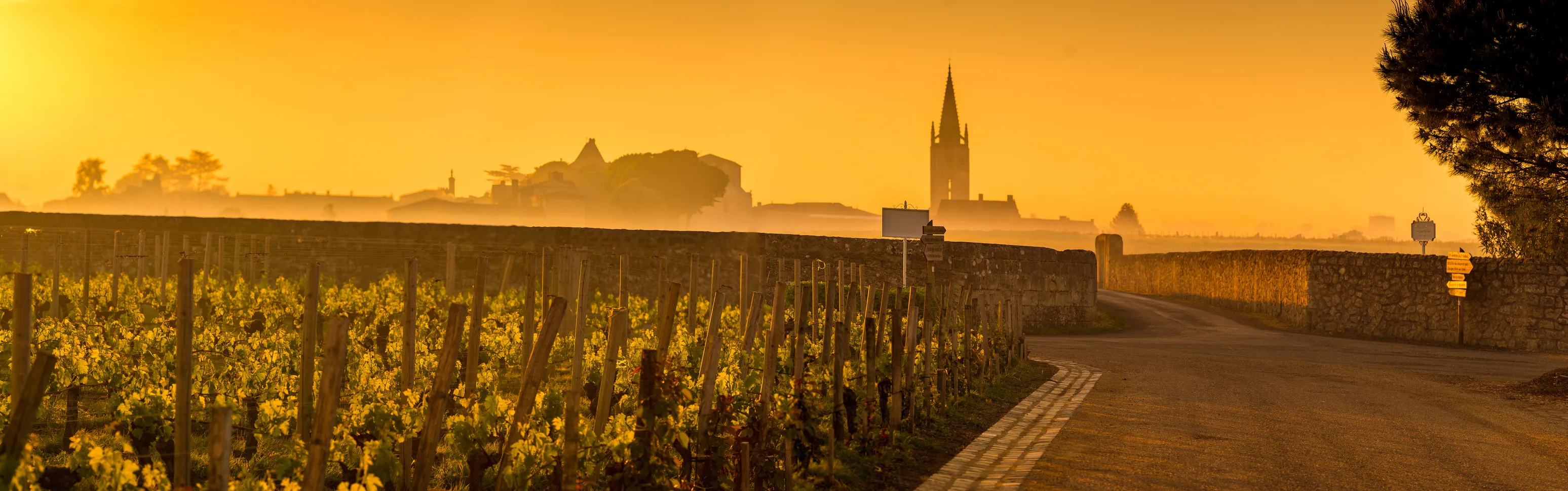 Lever de soleil sur Saint-Émilion, Girone, Nouvelle-Aquitaine © iStock / Esperanza33