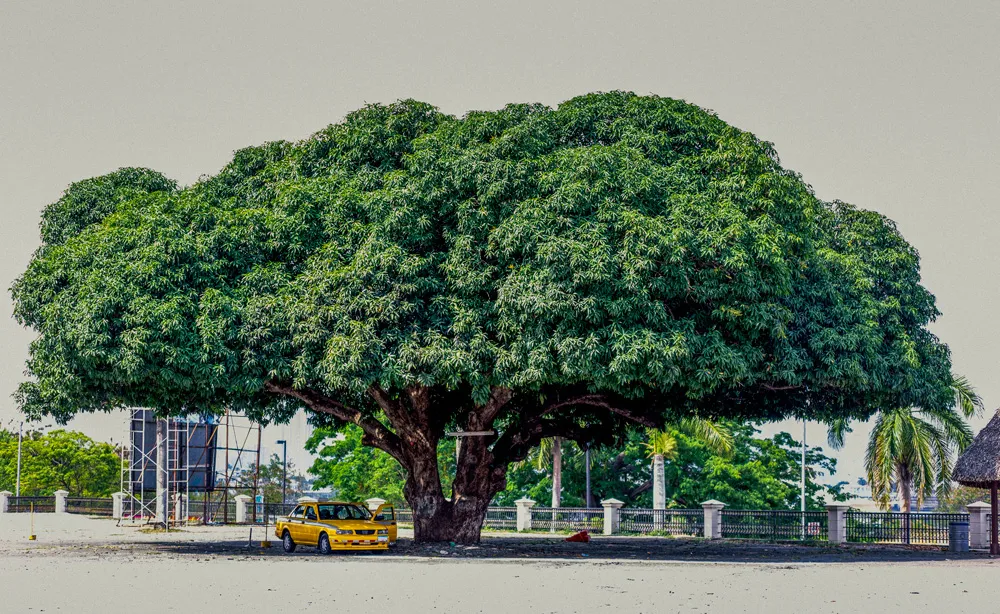 Ciudad de Panamá, Panamá | © Instants
