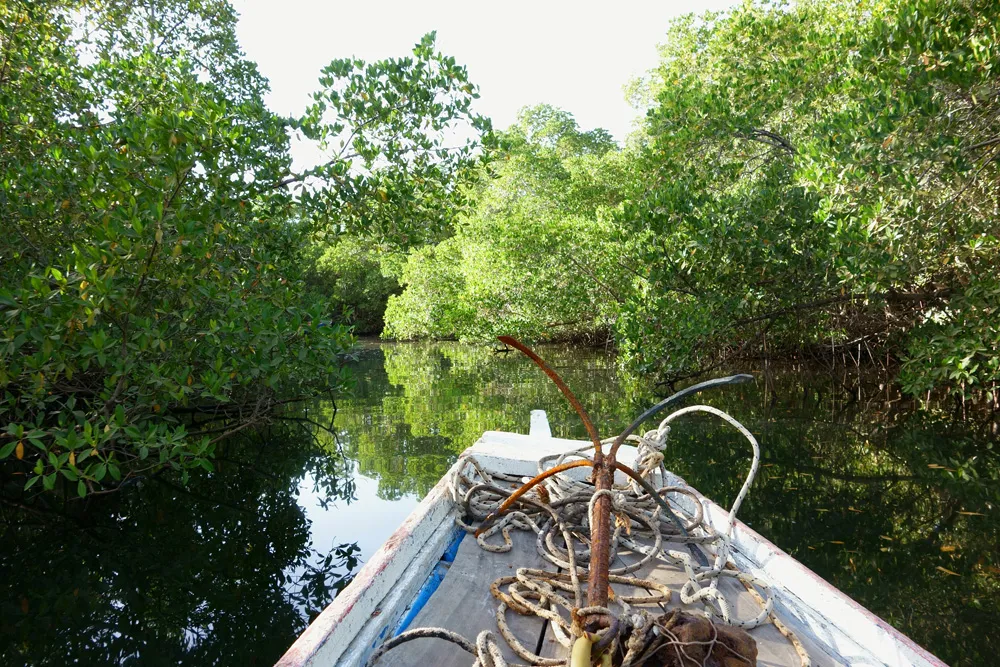 Pirogue traditionnelle dans le delta du Sine Saloum, Sénégal | © Travel_Nerd
