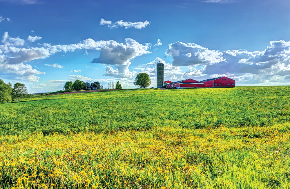 Île d'Orléans ©iStockphoto.com/krblokhin 