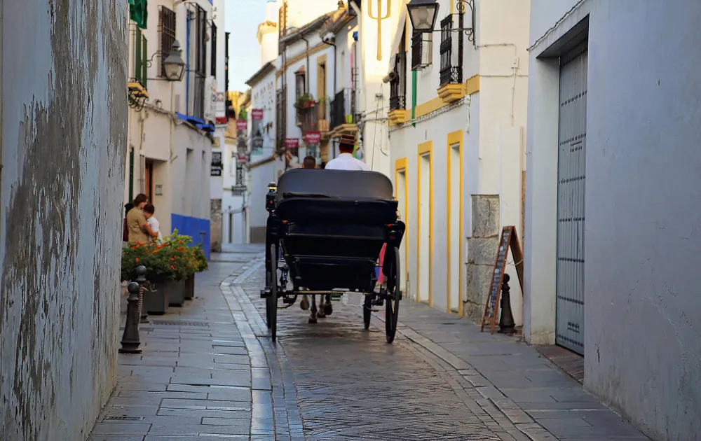Grenade, Espagne | © Elijah-Lovkoff
