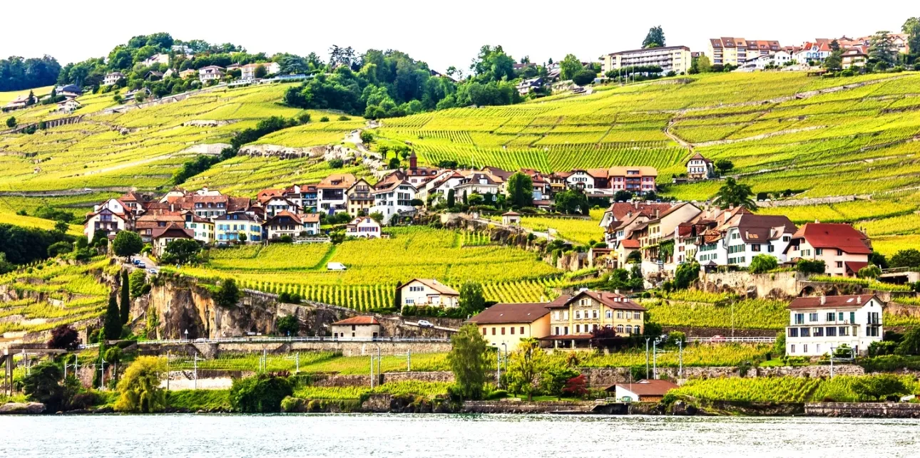 Lavaux et ses vignobles en terrasse que traverse le train des vignes © iStock / Vichai Phububphapan