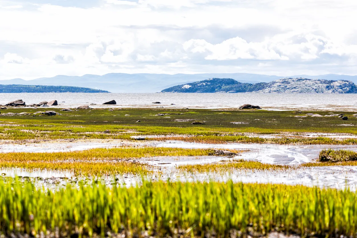 Plage sur le fleuve Saint-Laurent à Kamouraska © iStock / ablokhin
