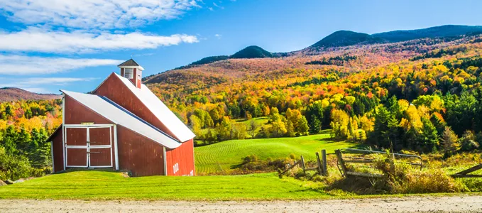 Roadside Barn | © iStockphoto.com/KenWiedemann