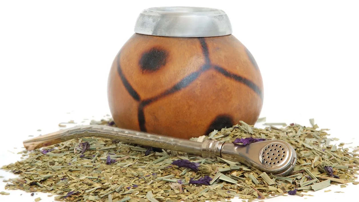 Feuilles de maté, calabasse et bombilla