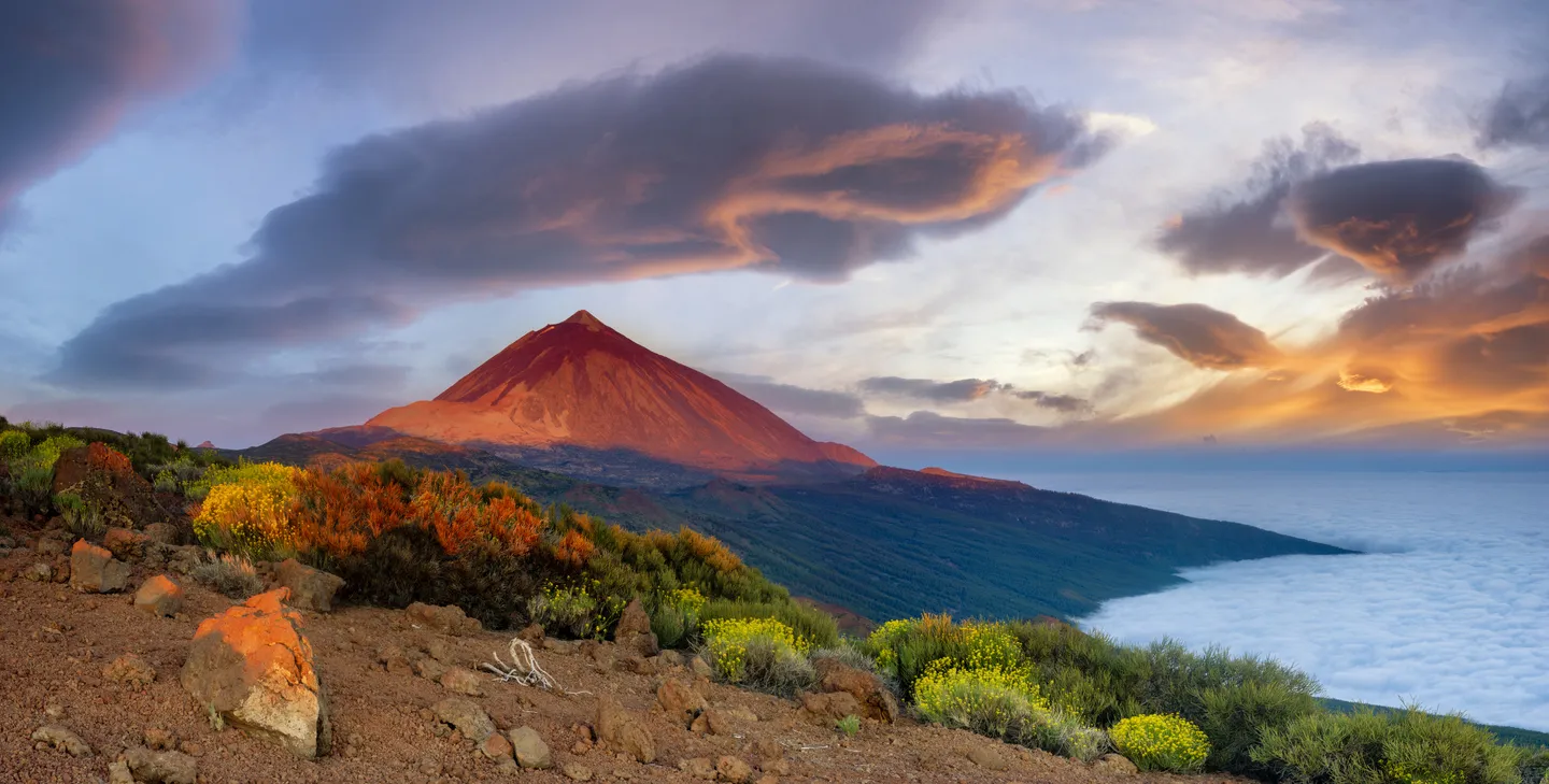 Le parc national du Teide, Tenerife, Îles Canaries  © iStock / MikeMareen