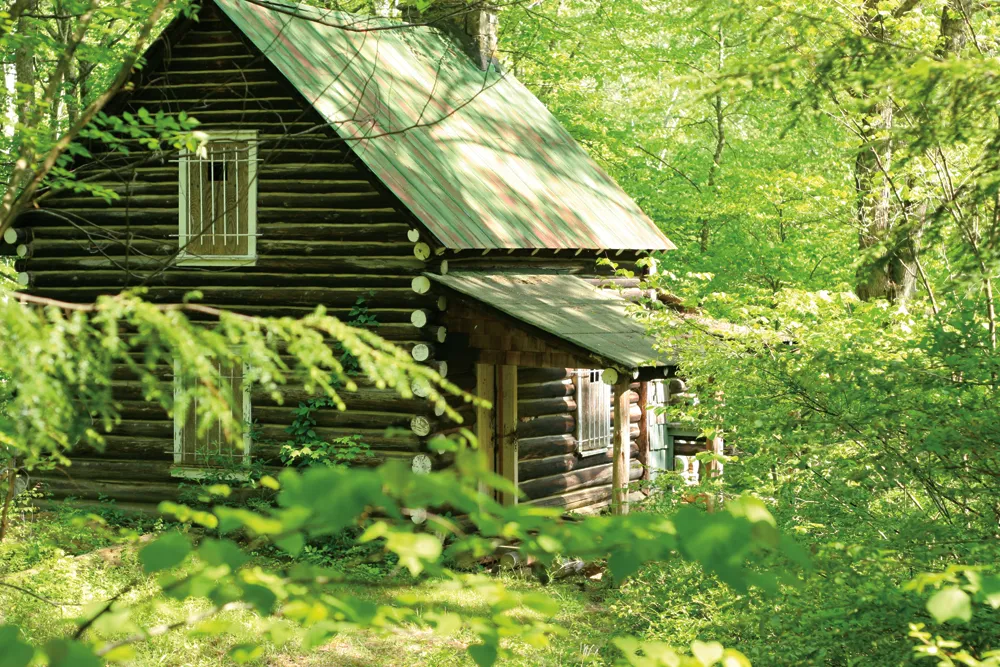 Cabane en bois  
Photo © iStockphoto - Dan Brandenburg  
